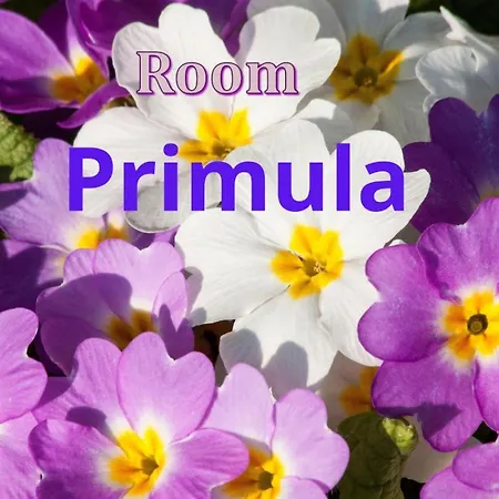 Séjour à la ferme Terre Rosse *