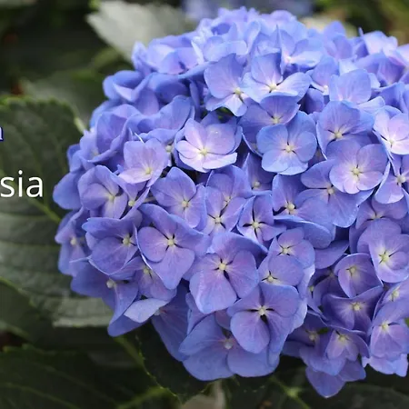 Terre Rosse ファームステイ ポルトフィーノ