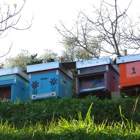 ファームステイ Agriturismo Terre Rosse