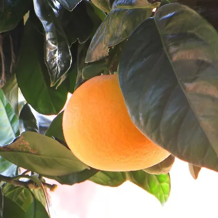 Agriturismo Terre Rosse Farm stay