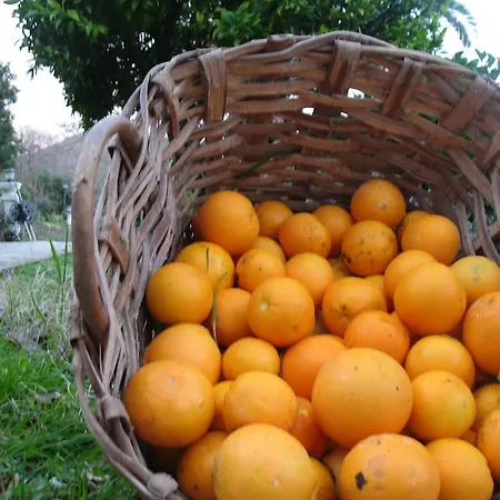 Agriturismo Terre Rosse Séjour à la ferme
