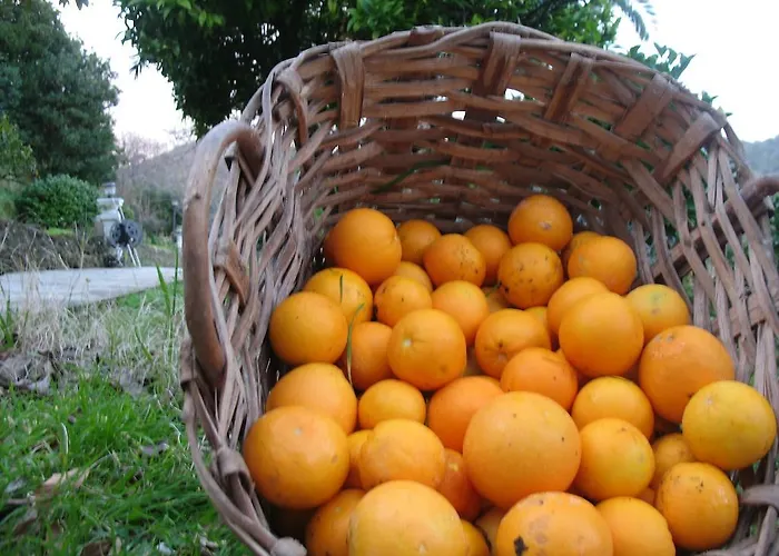 Terre Rosse Séjour à la ferme