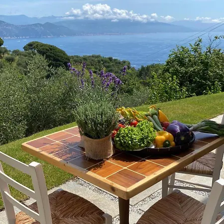 Terre Rosse Portofino