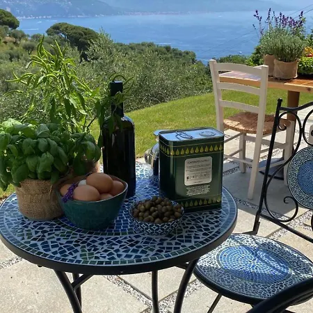 Agriturismo Terre Rosse Feriegård *