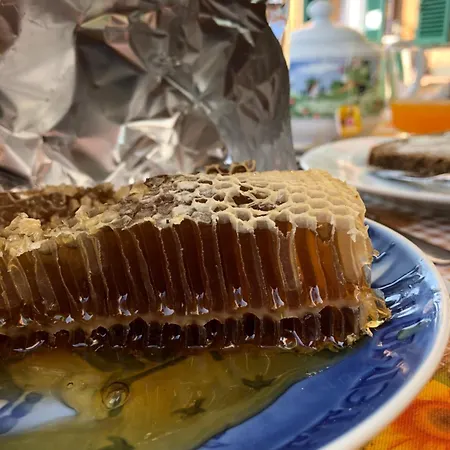 ファームステイ Terre Rosse ポルトフィーノ