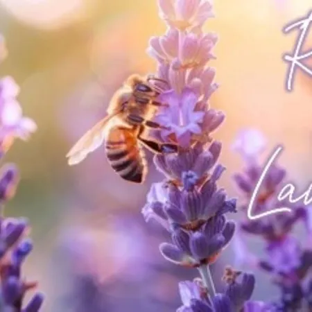 ファームステイ Terre Rosse *