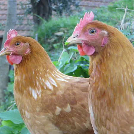 Séjour à la ferme Terre Rosse