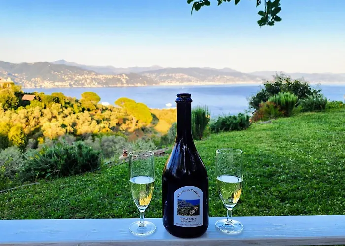 Terre Rosse ファームステイ