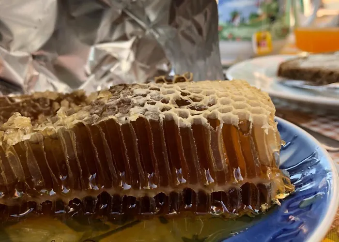 ファームステイ Terre Rosse ポルトフィーノ