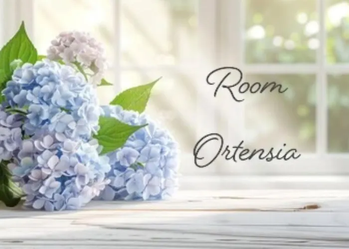 Terre Rosse ファームステイ