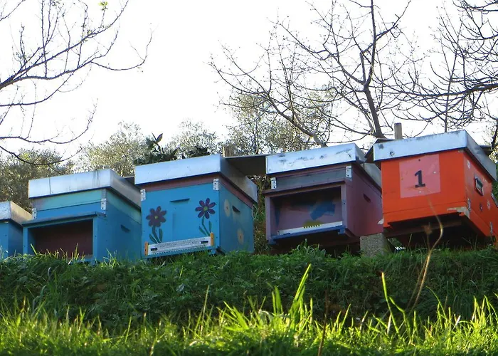 ファームステイ Terre Rosse